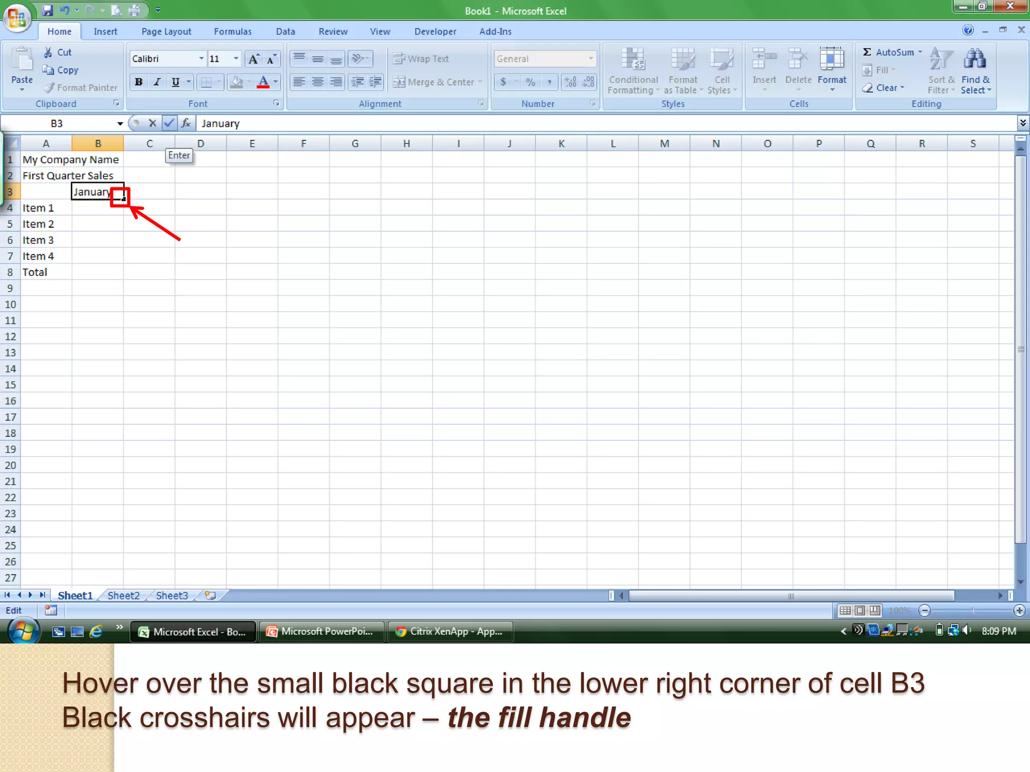 Hover over the small black square in the lower right corner of cell B3
Black crosshairs will appear – the fill handle
 