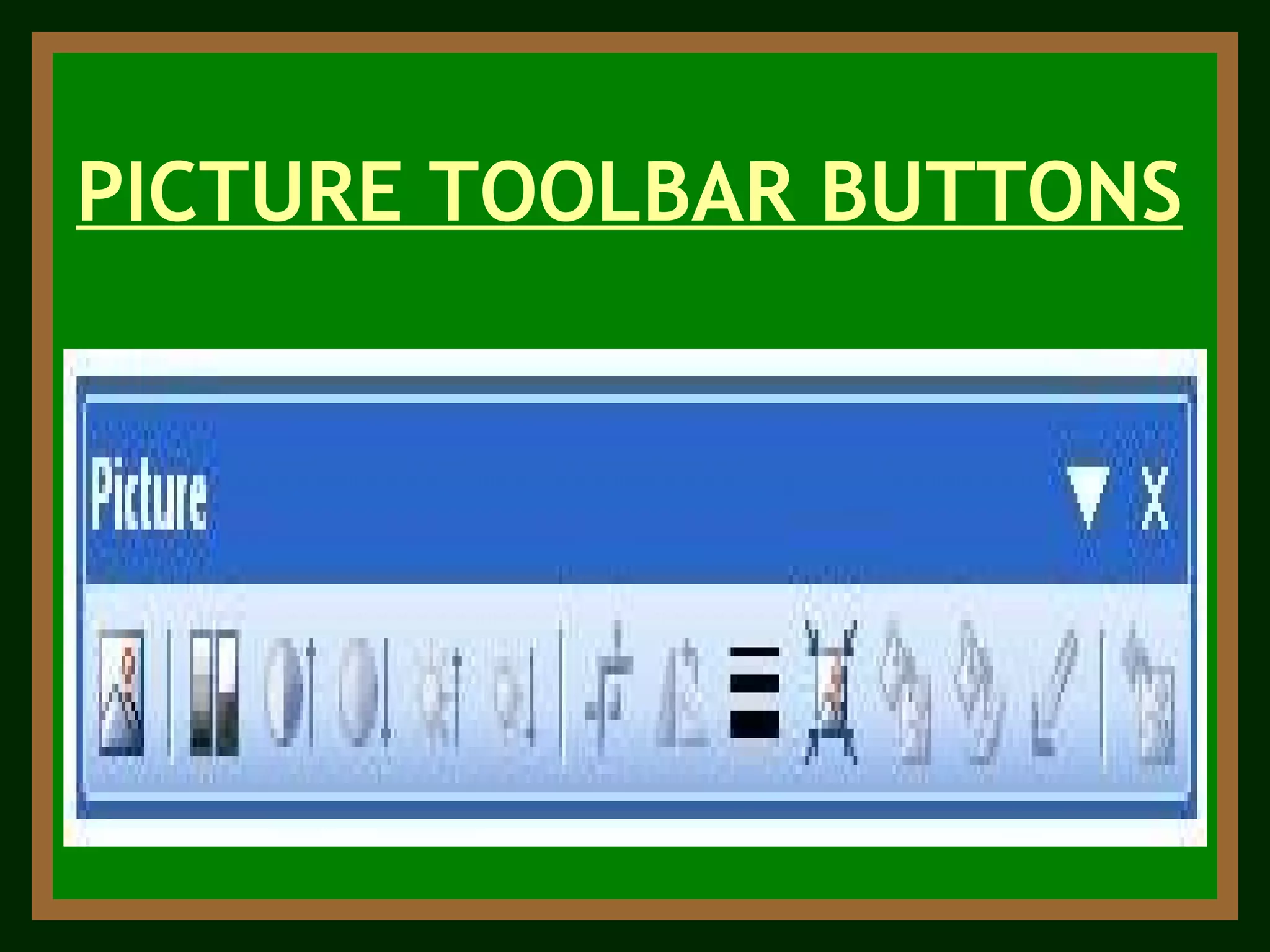 PICTURE TOOLBAR BUTTONS 