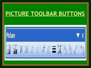 PICTURE TOOLBAR BUTTONS 