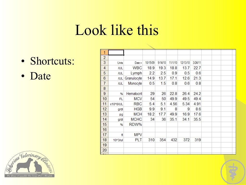 Excel professional dummy