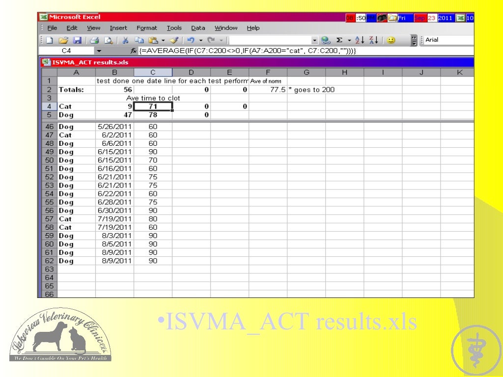 Excel professional dummy