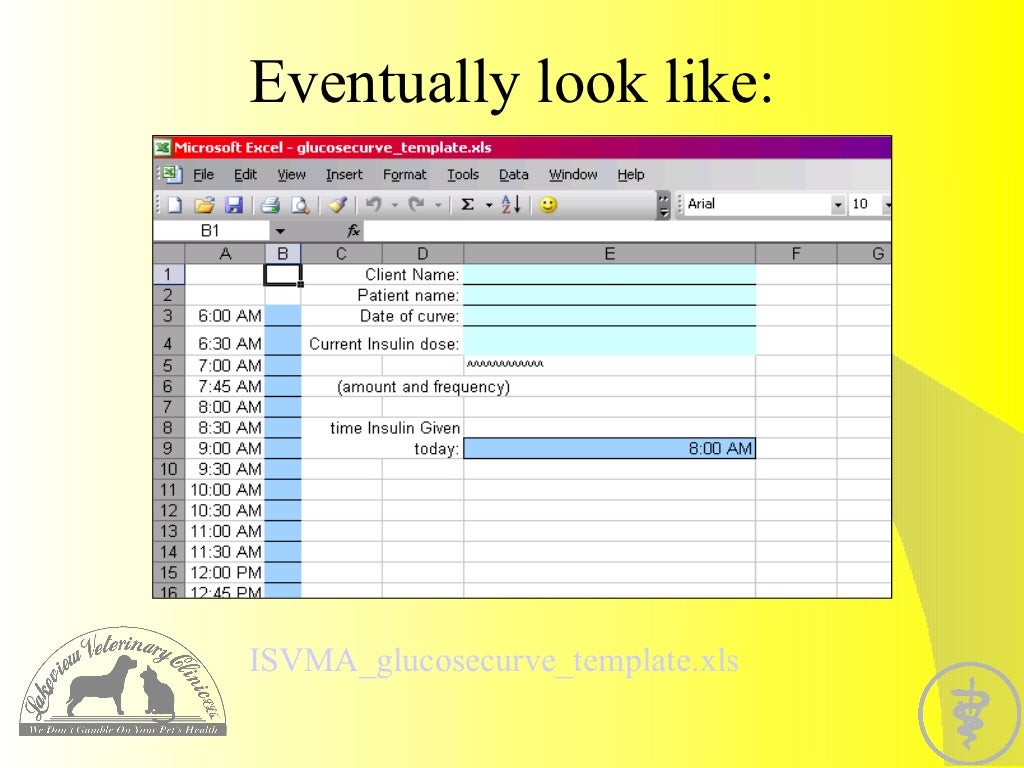 Excel professional dummy