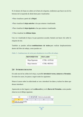 Si el número de hojas no caben en la barra de etiquetas, tendremos que hacer uso de los
botones de la izquierda de dicha barra para visualizarlas:
Para visualizar a partir de la Hoja1.
Para visualizar la hoja anterior a las que estamos visualizando.
Para visualizar la hoja siguiente a las que estamos visualizando.
Para visualizar las últimas hojas.
Una vez visualizada la hoja a la que queremos acceder, bastará con hacer clic sobre la
etiqueta de ésta.
También se pueden utilizar combinaciones de teclas para realizar desplazamientos
dentro del libro de trabajo, como pueden ser:
Tabla 2.- Combinaciones de teclas para desplazarse en un libro de trabajo.

MOVIMIENTO

TECLADO

Hoja Siguiente

CTRL+AVPAG

Hoja Anterior

CTRL+REPAG

2.8 INTRODUCIR DATOS
En cada una de las celdas de la hoja, es posible introducir textos, números o fórmulas.
En todos los casos, los pasos a seguir serán los siguientes:
Situar el cursor sobre la celda donde se van a introducir los datos y teclear los datos que
desees introducir.
Aparecerán en dos lugares: en la celda activa y en la Barra de Fórmulas, como puedes
observar en el dibujo siguiente:

 