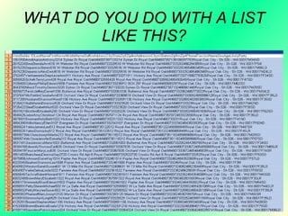 WHAT DO YOU DO WITH A LIST LIKE THIS? 
