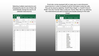 Selecting multiple rows/columns and
changing the size for one of them will
automatically change the size for all
selected rows/columns
Excel also comes equipped with an easy way to auto-dimension
rows/columns in order to properly fit all the information inside the cells.
This can be done by selecting “AutoFit Row Height” or “AutoFit Column
Width” from the “Format” Menu under the “Home” Main Tab or by selecting
the rows/columns we want to AutoFit and double-clicking on the outer
margin
 