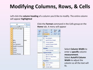 Modifying Columns, Rows, & Cells
Left-click the column heading of a column you'd like to modify. The entire column
will appear highlighted
Click the Format command in the Cells group on the
Home tab. A menu will appear
Select Column Width to
enter a specific column
measurement.
Select AutoFit Column
Width to adjust the
column so all the text will
fit.
 