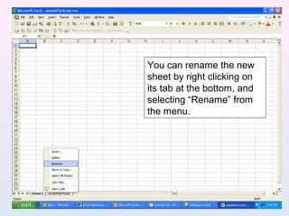 You can rename the new
sheet by right clicking on
its tab at the bottom, and
selecting “Rename” from
the menu.
 