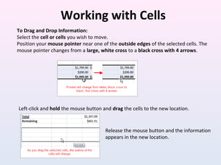 Working with Cells
To Drag and Drop Information:
Select the cell or cells you wish to move.
Position your mouse pointer near one of the outside edges of the selected cells. The
mouse pointer changes from a large, white cross to a black cross with 4 arrows.
Left-click and hold the mouse button and drag the cells to the new location.
Release the mouse button and the information
appears in the new location.
 