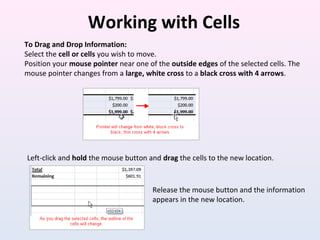Working with Cells
To Drag and Drop Information:
Select the cell or cells you wish to move.
Position your mouse pointer ne...