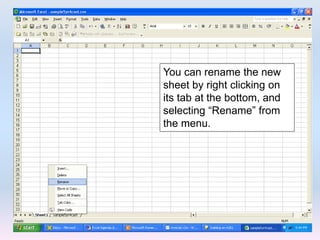 You can rename the new
sheet by right clicking on
its tab at the bottom, and
selecting “Rename” from
the menu.
 
