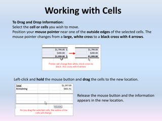 Working with Cells
To Drag and Drop Information:
Select the cell or cells you wish to move.
Position your mouse pointer near one of the outside edges of the selected cells. The
mouse pointer changes from a large, white cross to a black cross with 4 arrows.
Left-click and hold the mouse button and drag the cells to the new location.
Release the mouse button and the information
appears in the new location.
 