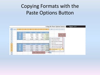 Copying Formats with the
Paste Options Button
 