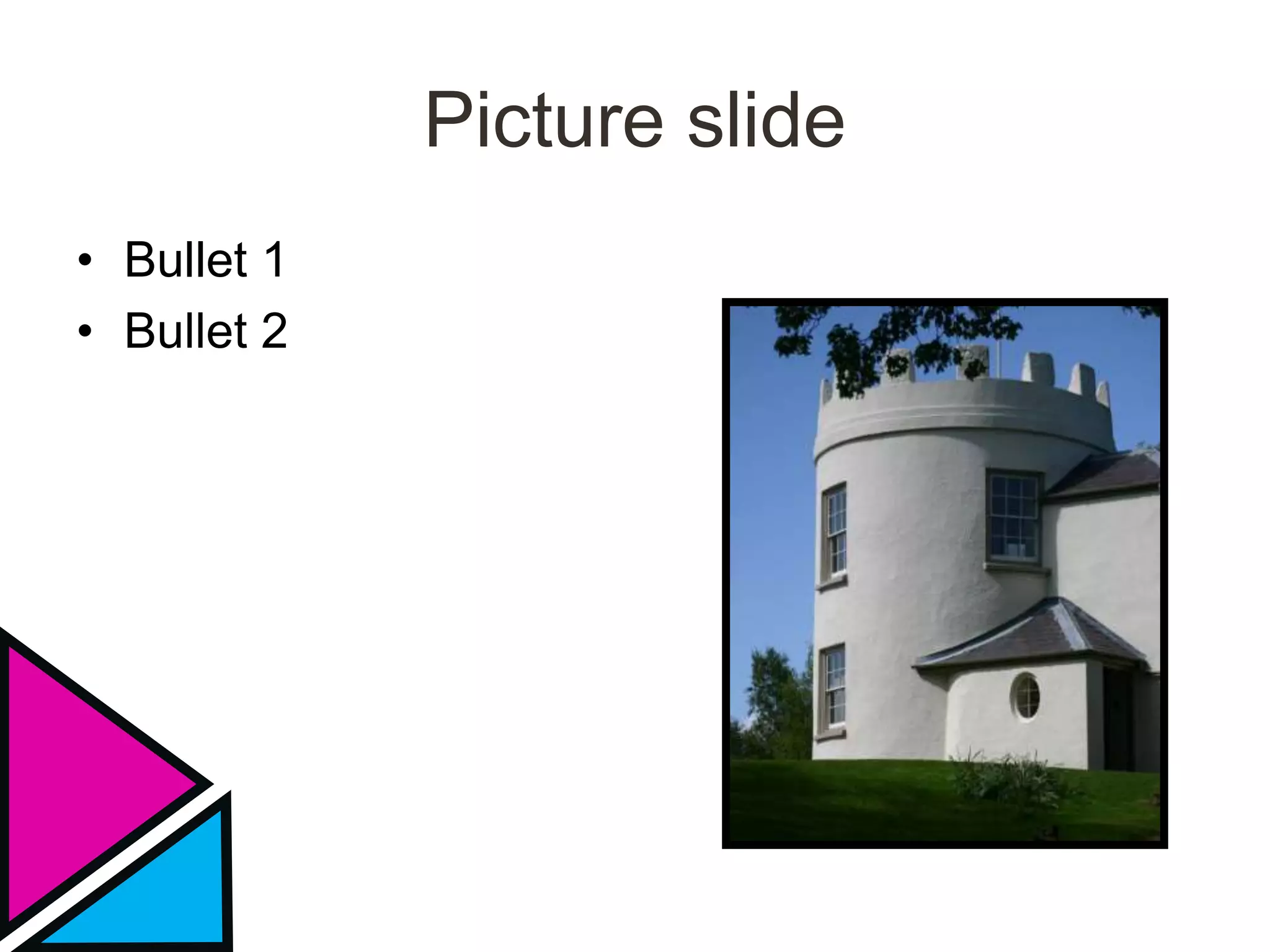 Picture slide
• Bullet 1
• Bullet 2
 