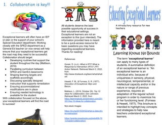 Exceptional Learner Artifact Pdf