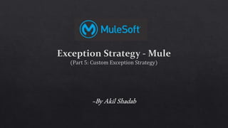 Exception strategy part 6 custom exception strategy