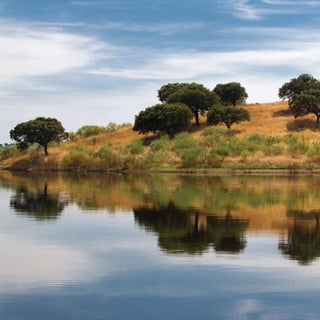 miolo_Fotografia_Print.indd 250miolo_Fotografia_Print.indd 250 10/10/22 18:3010/10/22 18:30
 