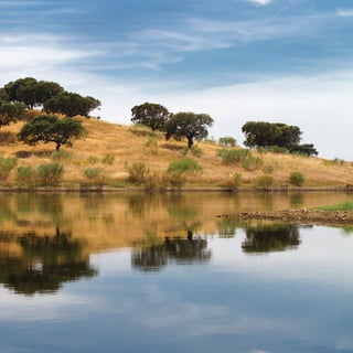 miolo_Fotografia_Print.indd 251miolo_Fotografia_Print.indd 251 10/10/22 18:3010/10/22 18:30
 