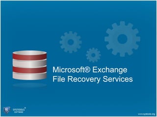 MS Access Database File Recovery Services Microsoft® Exchange File Recovery Services 