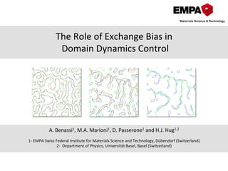 The	
  Role	
  of	
  Exchange	
  Bias	
  in	
  
	
  Domain	
  Dynamics	
  Control	
  
A.	
  Benassi1,	
  M.A.	
  Marioni1,	
  D.	
  Passerone1	
  and	
  H.J.	
  Hug1,2	
  
	
  	
  	
  
	
  
	
  
	
  
1-­‐	
  EMPA	
  Swiss	
  Federal	
  InsHtute	
  for	
  Materials	
  Science	
  and	
  Technology,	
  Dübendorf	
  (Switzerland)	
  
2-­‐	
  	
  Department	
  of	
  Physics,	
  Universität	
  Basel,	
  Basel	
  (Switzerland)	
  
 