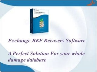 Exchange BKF Recovery Software

A Perfect Solution For your whole
damage database
 
