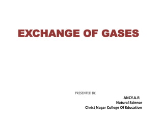 EXCHANGE OF GASES
PRESENTED BY,
ANCY.A.R
Natural Science
Christ Nagar College Of Education
 