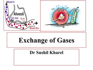 Exchange of Gases
Dr Sushil Kharel
 