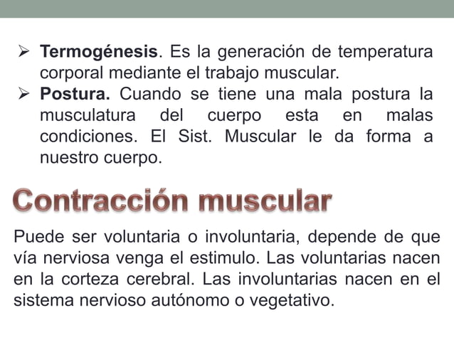 Excitabilidad muscular