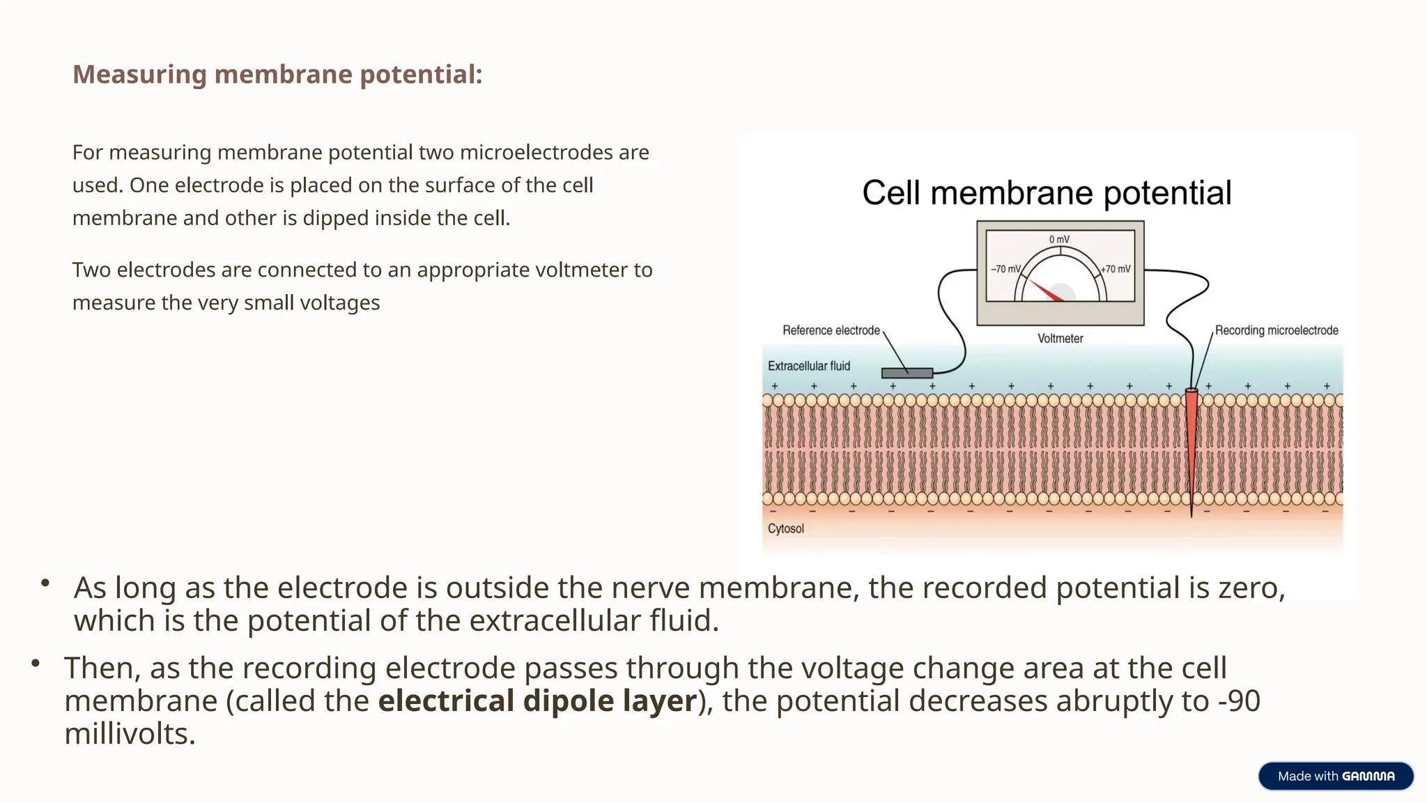 Nerve lecture 2:strength-duration curve and an introduction to action ...