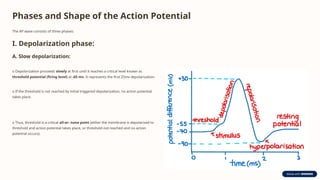 Nerve lecture 2:strength-duration curve and an introduction to action ...
