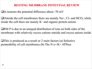 29
RESTING MEMBRANE POTENTIAL REVIEW
qOutside the cell membranes there are mainly Na+, Cl- and HCO3 while
inside the cell there are mainly K+ and organic protein anions
qIn neurons the potential difference about -70 mV
qRM P is due to an unequal distribution of ions on both sides of the
membrane with relatively excess cations outside and excess anions inside
qThis is produced as a result or 2 main factors (a) Selective
permeability of cell membranes (b) The N a+/K+ ATPase
 