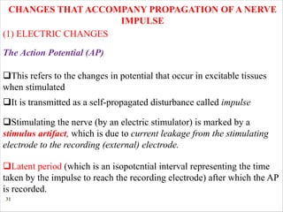 31
CHANGES THAT ACCOMPANY PROPAGATION OF A NERVE
IMPULSE
The Action Potential (AP)
(1) ELECTRIC CHANGES
qThis refers to the changes in potential that occur in excitable tissues
when stimulated
qIt is transmitted as a self-propagated disturbance called impulse
qStimulating the nerve (by an electric stimulator) is marked by a
stimulus artifact, which is due to current leakage from the stimulating
electrode to the recording (external) electrode.
qLatent period (which is an isopotcntial interval representing the time
taken by the impulse to reach the recording electrode) after which the AP
is recorded.
 