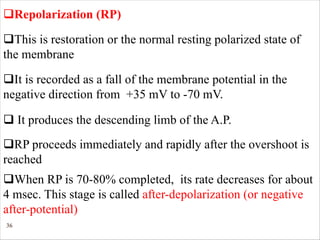 36
qRepolarization (RP)
qThis is restoration or the normal resting polarized state of
the membrane
qIt is recorded as a fall of the membrane potential in the
negative direction from +35 mV to -70 mV.
qRP proceeds immediately and rapidly after the overshoot is
reached
q It produces the descending limb of the A.P.
qWhen RP is 70-80% completed, its rate decreases for about
4 msec. This stage is called after-depolarization (or negative
after-potential)
 