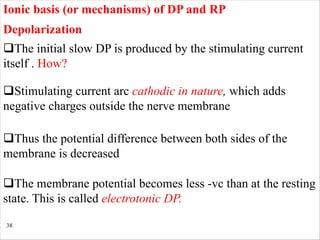 38
Ionic basis (or mechanisms) of DP and RP
qThe initial slow DP is produced by the stimulating current
itself . How?
qStimulating current arc cathodic in nature, which adds
negative charges outside the nerve membrane
qThus the potential difference between both sides of the
membrane is decreased
qThe membrane potential becomes less -vc than at the resting
state. This is called electrotonic DP.
Depolarization
 