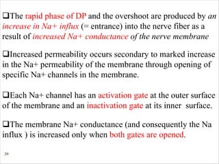 39
qThe rapid phase of DP and the overshoot are produced by an
increase in Na+ influx (= entrance) into the nerve fiber as a
result of increased Na+ conductance of the nerve membrane
qIncreased permeability occurs secondary to marked increase
in the Na+ permeability of the membrane through opening of
specific Na+ channels in the membrane.
qEach Na+ channel has an activation gate at the outer surface
of the membrane and an inactivation gate at its inner surface.
qThe membrane Na+ conductance (and consequently the Na
influx ) is increased only when both gates are opened.
 