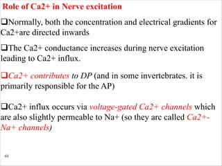 44
qNormally, both the concentration and electrical gradients for
Ca2+are directed inwards
qThe Ca2+ conductance increases during nerve excitation
leading to Ca2+ influx.
Role of Ca2+ in Nerve excitation
qCa2+ contributes to DP (and in some invertebrates. it is
primarily responsible for the AP)
qCa2+ influx occurs via voltage-gated Ca2+ channels which
are also slightly permeable to Na+ (so they arc called Ca2+-
Na+ channels)
 