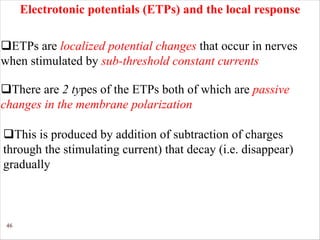 46
qETPs are localized potential changes that occur in nerves
when stimulated by sub-threshold constant currents
Electrotonic potentials (ETPs) and the local response
qThere are 2 types of the ETPs both of which are passive
changes in the membrane polarization
qThis is produced by addition of subtraction of charges
through the stimulating current) that decay (i.e. disappear)
gradually
 