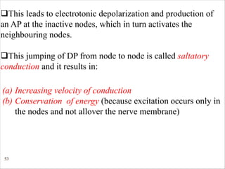 53
qThis leads to electrotonic depolarization and production of
an AP at the inactive nodes, which in turn activates the
neighbouring nodes.
qThis jumping of DP from node to node is called saltatory
conduction and it results in:
(a) Increasing velocity of conduction
(b) Conservation of energy (because excitation occurs only in
the nodes and not allover the nerve membrane)
 