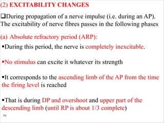 54
(2) EXCITABILITY CHANGES
qDuring propagation of a nerve impulse (i.e. during an AP).
The excitability of nerve fibres passes in the following phases
(a) Absolute refractory period (ARP):
§During this period, the nerve is completely inexcitable.
§No stimulus can excite it whatever its strength
§It corresponds to the ascending limb of the AP from the time
the firing level is reached
§That is during DP and overshoot and upper part of the
descending limb (until RP is about 1/3 complete)
 