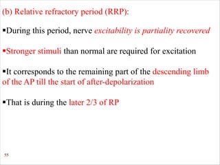 55
(b) Relative refractory period (RRP):
§During this period, nerve excitability is partiality recovered
§Stronger stimuli than normal are required for excitation
§It corresponds to the remaining part of the descending limb
of the AP till the start of after-depolarization
§That is during the later 2/3 of RP
 
