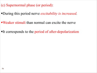 56
(c) Supernormal phase (or period):
§During this period nerve excitability is increased.
§Weaker stimuli than normal can excite the nerve
§It corresponds to the period of after-depolarization
 