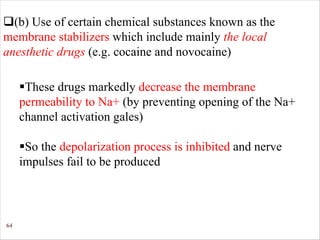 64
q(b) Use of certain chemical substances known as the
membrane stabilizers which include mainly the local
anesthetic drugs (e.g. cocaine and novocaine)
§These drugs markedly decrease the membrane
permeability to Na+ (by preventing opening of the Na+
channel activation gales)
§So the depolarization process is inhibited and nerve
impulses fail to be produced
 