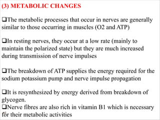 65
(3) METABOLIC CHANGES
qThe metabolic processes that occur in nerves are generally
similar to those occurring in muscles (O2 and ATP)
qIn resting nerves, they occur at a low rate (mainly to
maintain the polarized state) but they are much increased
during transmission of nerve impulses
qThe breakdown of ATP supplies the energy required for the
sodium potassium pump and nerve impulse propagation
qIt is resynthesized by energy derived from breakdown of
glycogen.
qNerve fibres are also rich in vitamin B1 which is necessary
for their metabolic activities
 