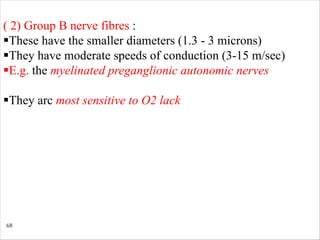 68
( 2) Group B nerve fibres :
§These have the smaller diameters (1.3 - 3 microns)
§They have moderate speeds of conduction (3-15 m/sec)
§E.g. the myelinated preganglionic autonomic nerves
§They arc most sensitive to O2 lack
 