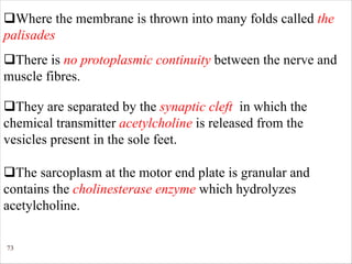 73
qWhere the membrane is thrown into many folds called the
palisades
qThere is no protoplasmic continuity between the nerve and
muscle fibres.
qThey are separated by the synaptic cleft in which the
chemical transmitter acetylcholine is released from the
vesicles present in the sole feet.
qThe sarcoplasm at the motor end plate is granular and
contains the cholinesterase enzyme which hydrolyzes
acetylcholine.
 