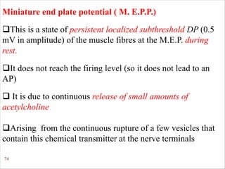 74
Miniature end plate potential ( M. E.P.P.)
qThis is a state of persistent localized subthreshold DP (0.5
mV in amplitude) of the muscle fibres at the M.E.P. during
rest.
qIt does not reach the firing level (so it does not lead to an
AP)
q It is due to continuous release of small amounts of
acetylcholine
qArising from the continuous rupture of a few vesicles that
contain this chemical transmitter at the nerve terminals
 
