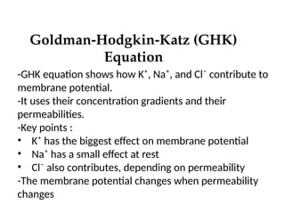Goldman-Hodgkin-Katz (GHK)
Equation
-GHK equation shows how K⁺, Na⁺, and Cl⁻ contribute to
membrane potential.
-It uses their concentration gradients and their
permeabilities.
-Key points :
• K⁺ has the biggest effect on membrane potential
• Na⁺ has a small effect at rest
• Cl⁻ also contributes, depending on permeability
-The membrane potential changes when permeability
changes
 