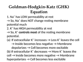 Goldman-Hodgkin-Katz (GHK)
Equation
1. Na⁺ has LOW permeability at rest
→ So, Na⁺ does NOT change resting membrane
potential much
2. K⁺ has HIGH permeability at rest
→ So, K⁺ controls most of the resting membrane
potential.
(a) If extracellular K⁺ increases → Less K⁺ leaves the cell
→ Inside becomes less negative → Membrane
depolarizes → Cell becomes more excitable
(b) If extracellular K⁺ decreases → More K⁺ leaves the
cell → Inside becomes more negative → Membrane
hyperpolarizes → Cell becomes less excitable
 