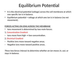 Equilibrium Potential
• It is the electrical potential (voltage) across the cell membrane at which
one specific ion is in balance.
• Equilibrium potential = voltage at which one ion is in balance (no net
movement).
FORCES ACTING ON IONS ACROSS THE MEMBRANE
• Ions movement is determined by two main forces:
1. Concentration Gradient
- Ions move from high → low concentration.
2. Electrical Gradient
- Positive ions move toward negative areas.
- Negative ions move toward positive areas.
These two forces interact to determine whether an ion moves in, out, or
stays in balance.
 