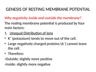 GENESIS OF RESTING MEMBRANE POTENTIAL
Why negativity inside and outside the membrane?
The resting membrane potential is produced by four
main factors:
1. Unequal Distribution of Ions
• K⁺ (potassium) tends to move out of the cell.
• Large negatively charged proteins (A⁻) cannot leave
the cell.
• Therefore:
-Outside: slightly more positive
-Inside: slightly more negative
 