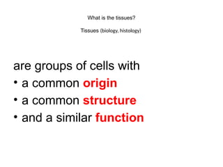 What is the tissues?
Tissues (biology, histology)
are groups of cells with
• a common origin
• a common structure
• and a similar function
 